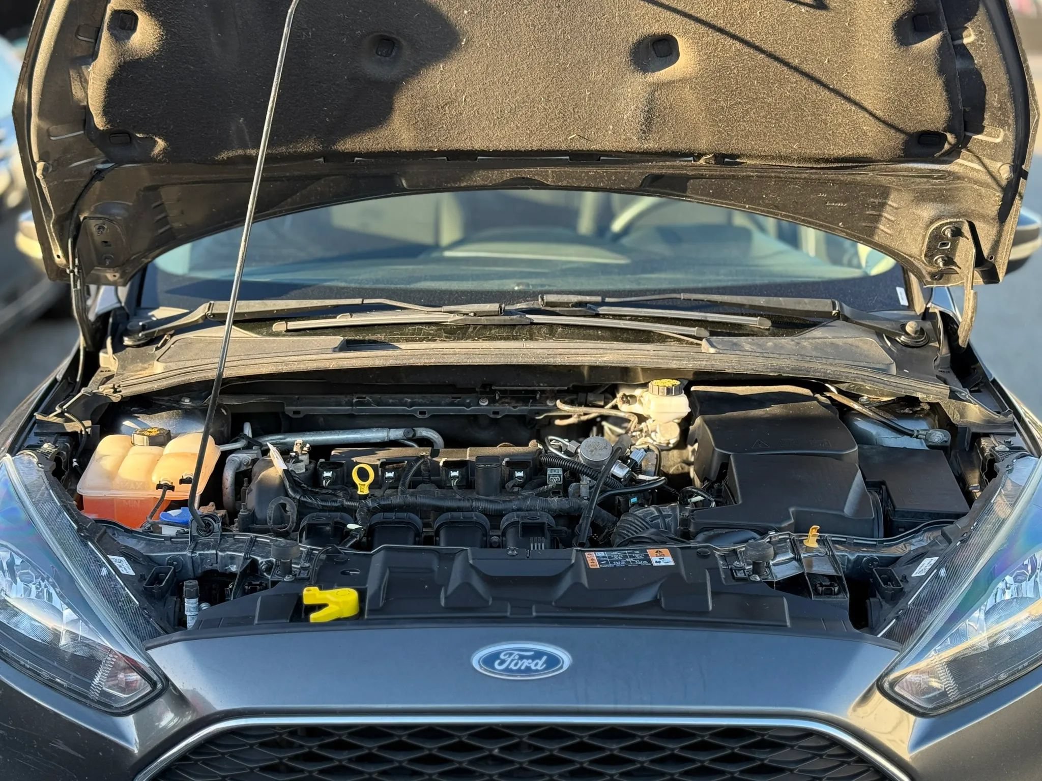 Used 2018 Ford Focus SEL FWD image 29