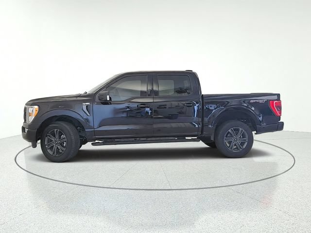 Used 2023 Ford F150 XLT w/ Equipment Group 302A High AWD/4WD image 2
