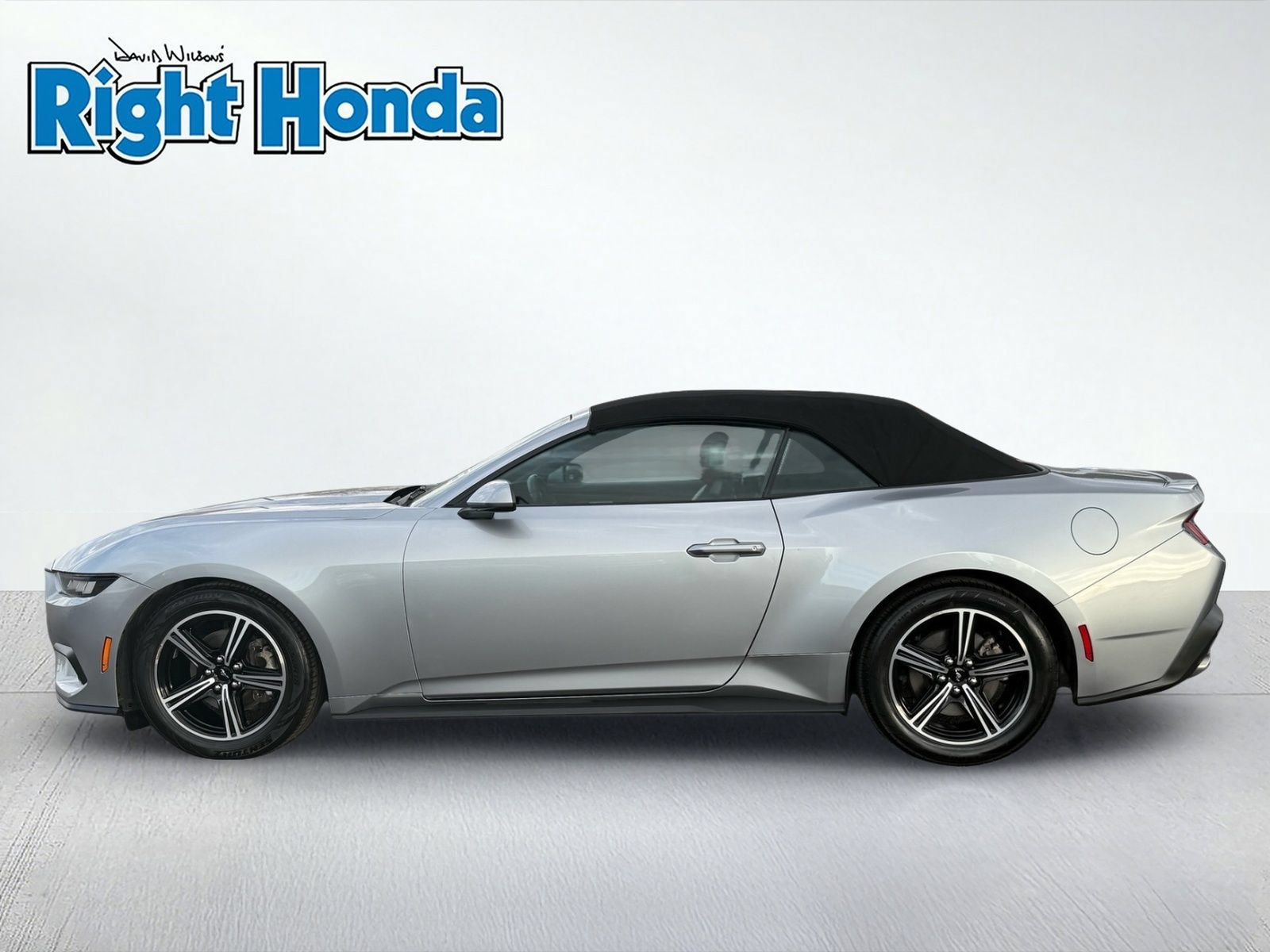 Used 2024 Ford Mustang Premium RWD image 3