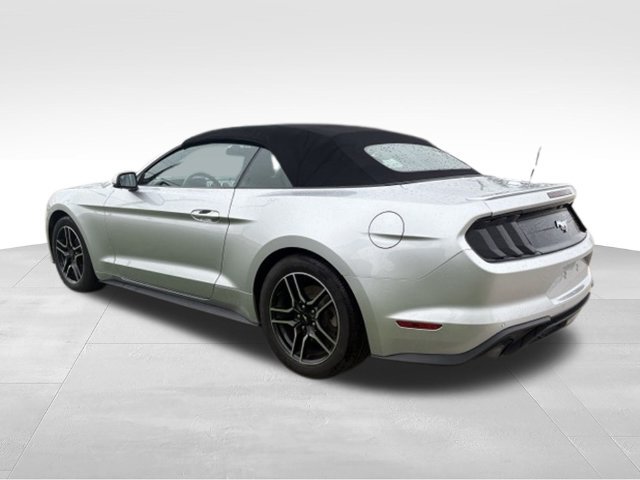 Used 2018 Ford Mustang Premium w/ Equipment Group 201A RWD image 2