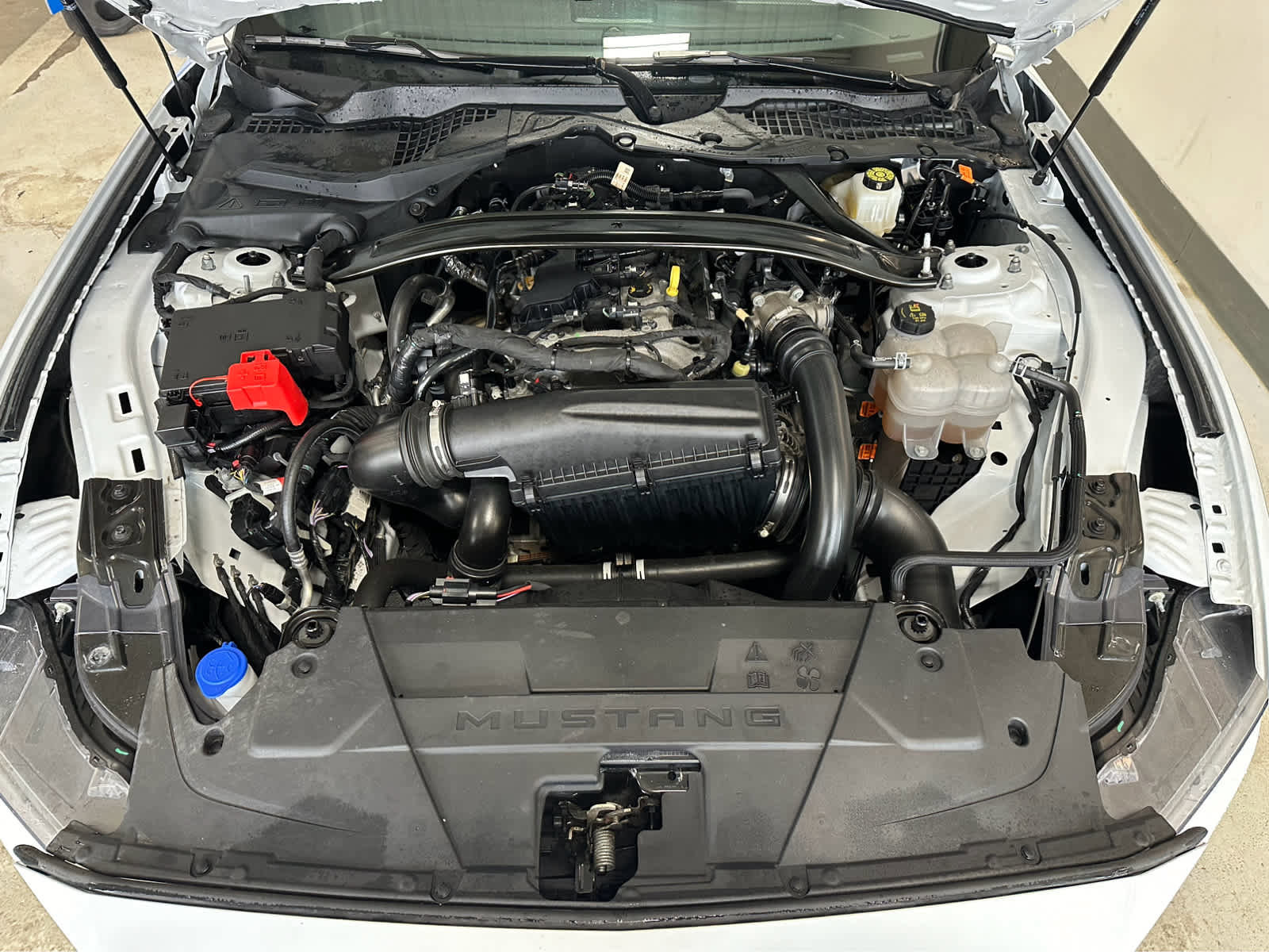 Used 2025 Ford Mustang Premium image 12