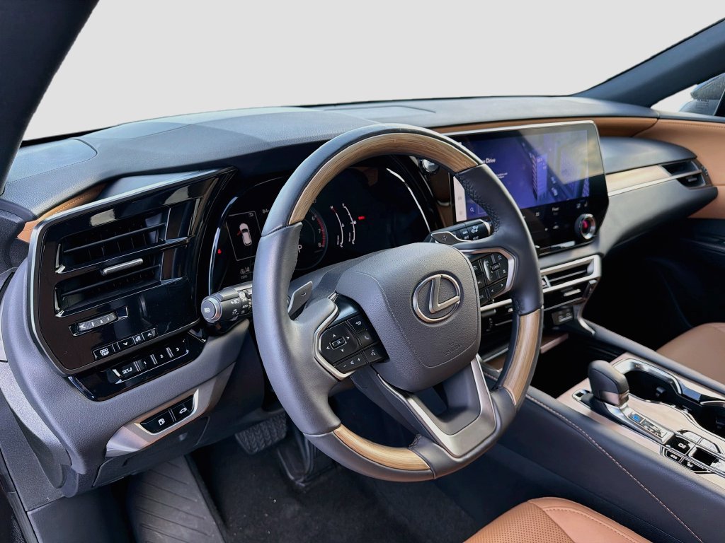 Used 2023 Lexus RX 350 Premium w/ Cold Area Package AWD/4WD image 9
