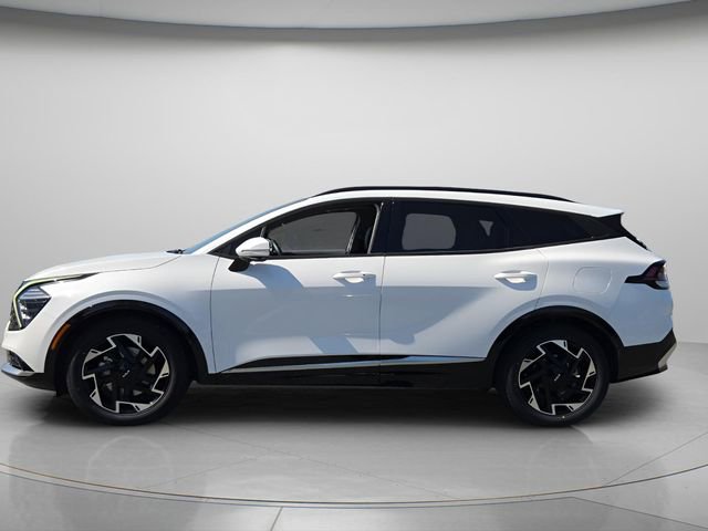 Used 2023 Kia Sportage SX image 3