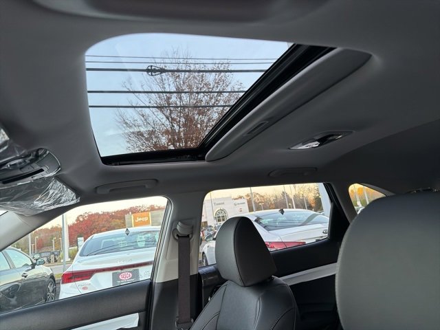 New 2026 Kia Seltos SX w/ SX Sunroof Package image 11