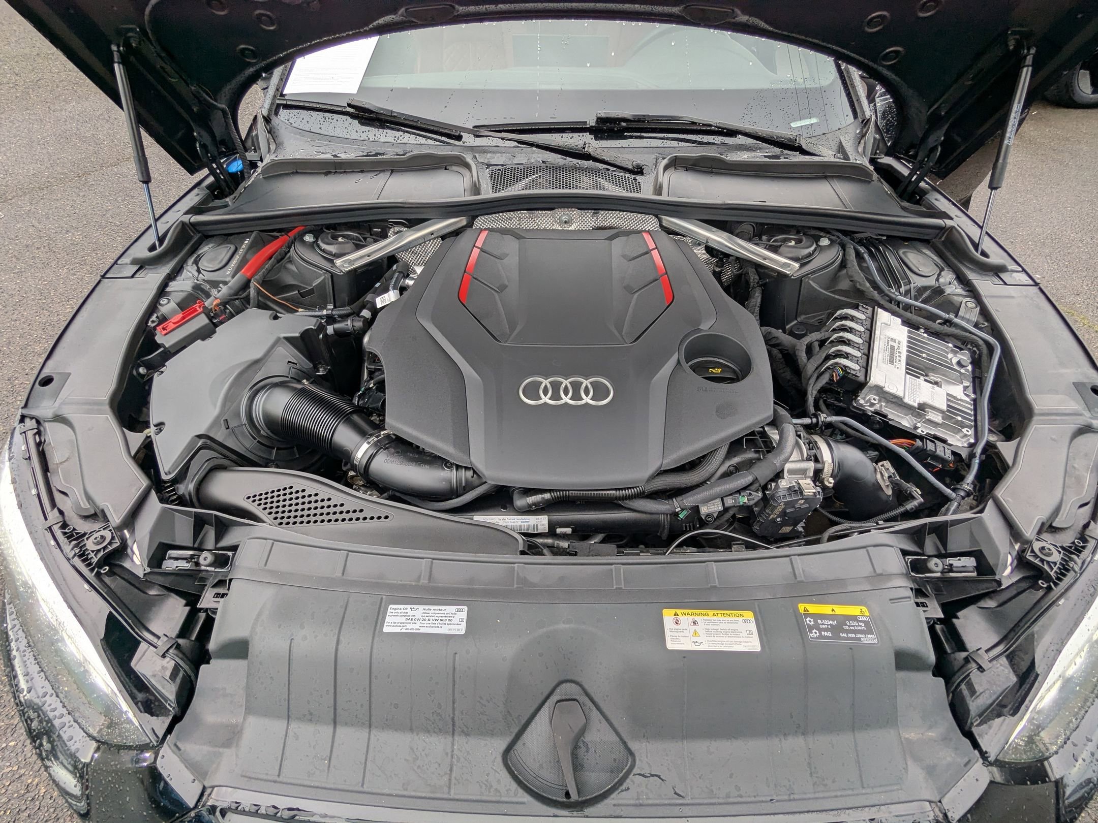 Used 2024 Audi S5 Premium Plus w/ Premium Plus Package image 33