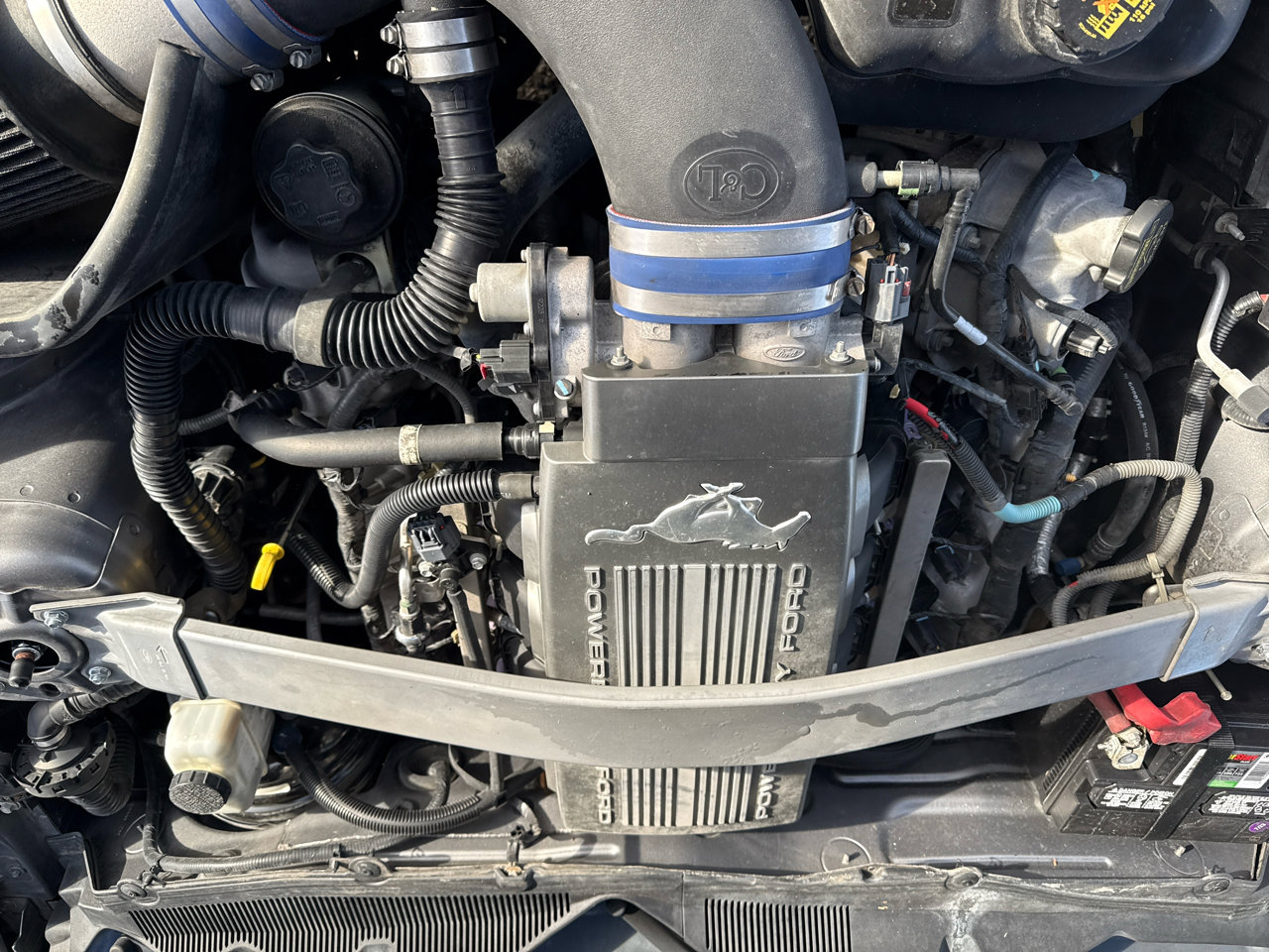 Used 2010 Ford Mustang GT image 23