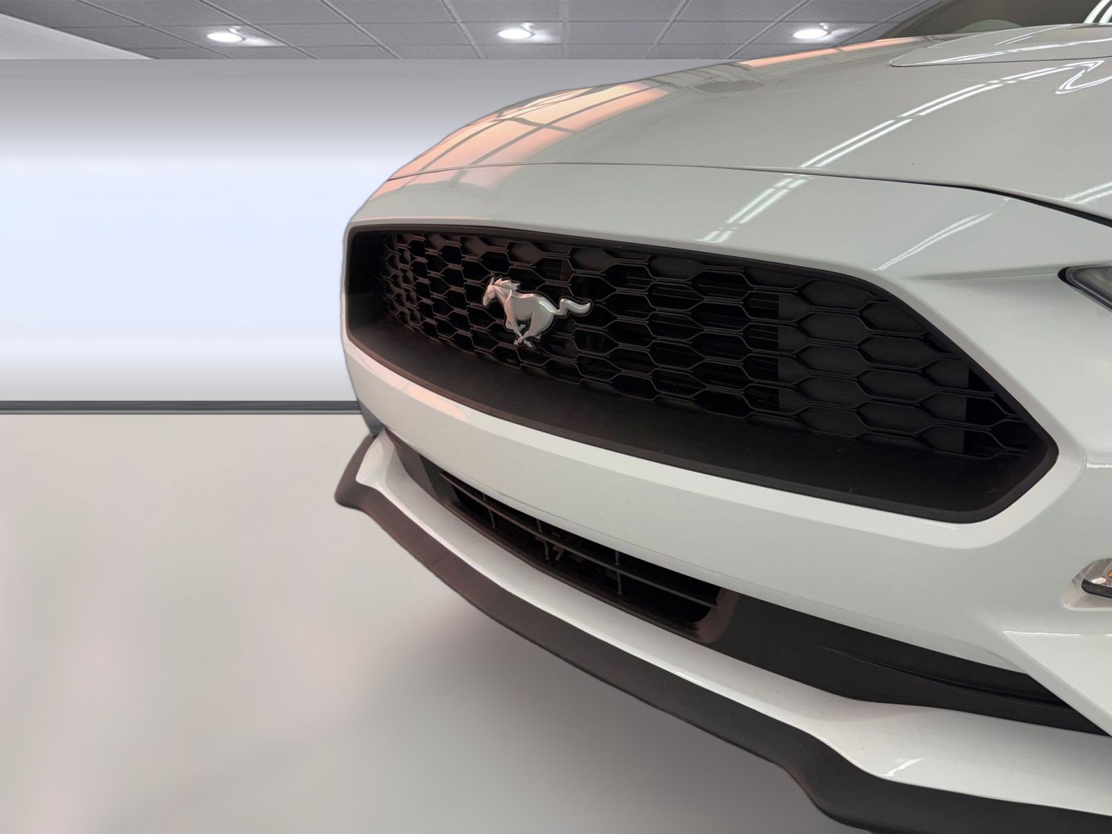 Used 2023 Ford Mustang Premium image 18