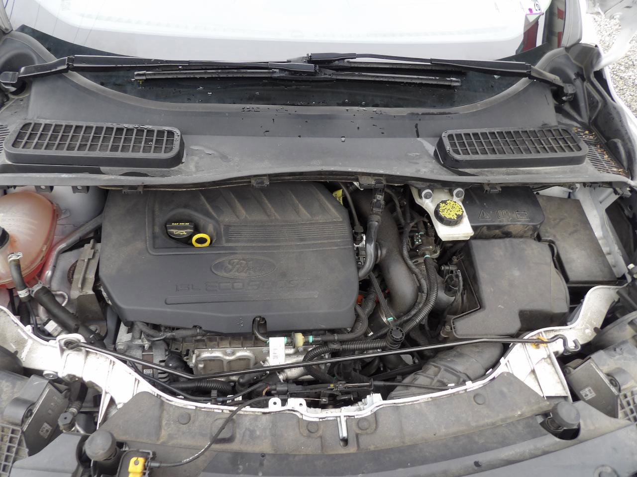 Used 2018 Ford Escape SEL w/ Ford Safe & Smart Package image 24