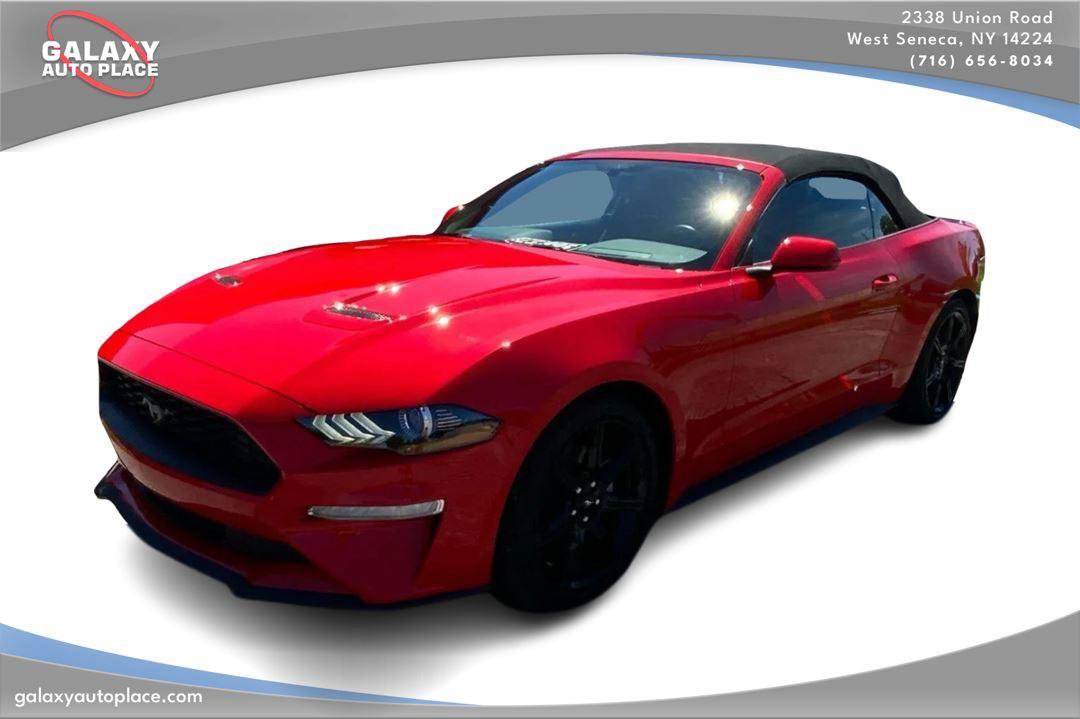 Used 2019 Ford Mustang Convertible w/ Equipment Group 101A RWD image 1