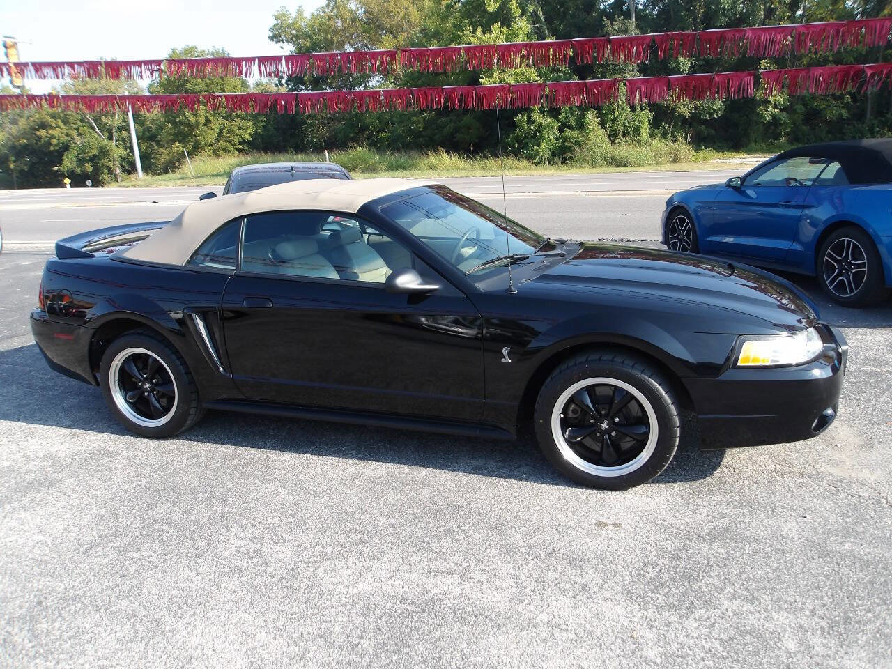 Used 1999 Ford Mustang Cobra image 3