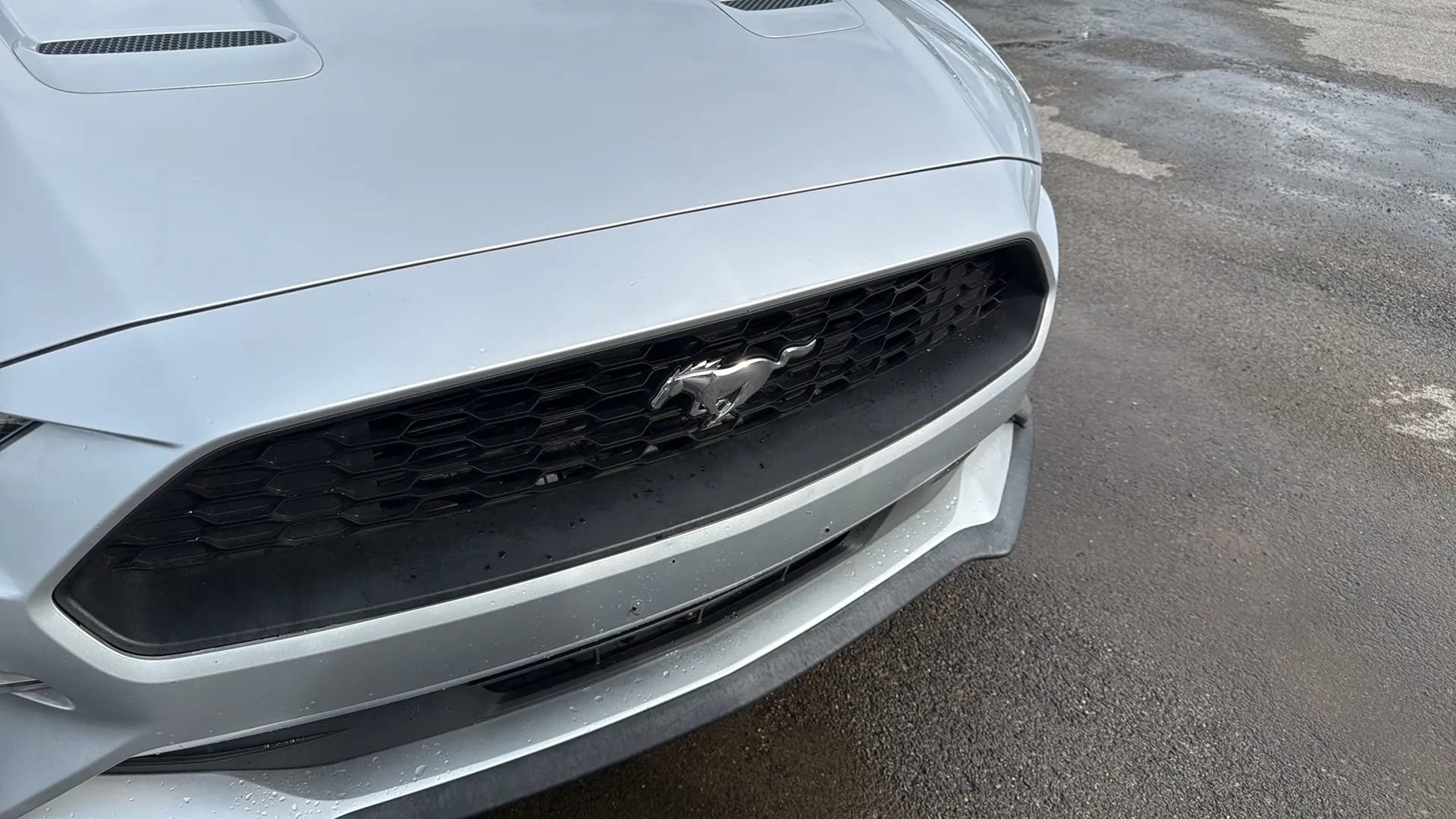 Used 2018 Ford Mustang Premium RWD image 23