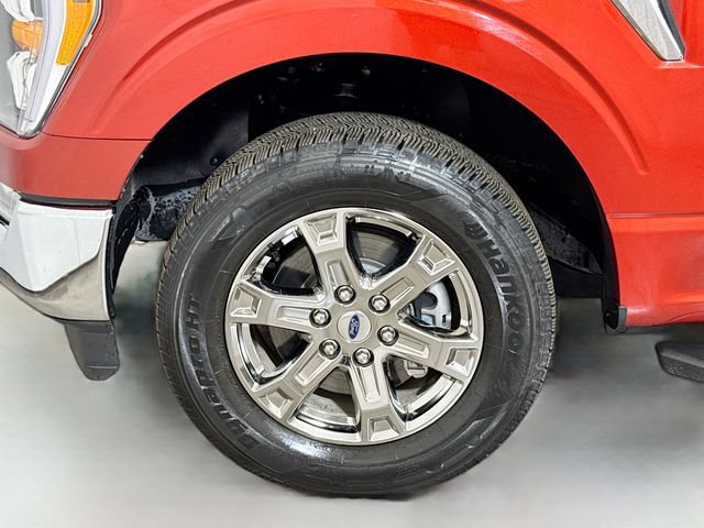 Used 2023 Ford F150 XLT w/ Equipment Group 302A High RWD image 29