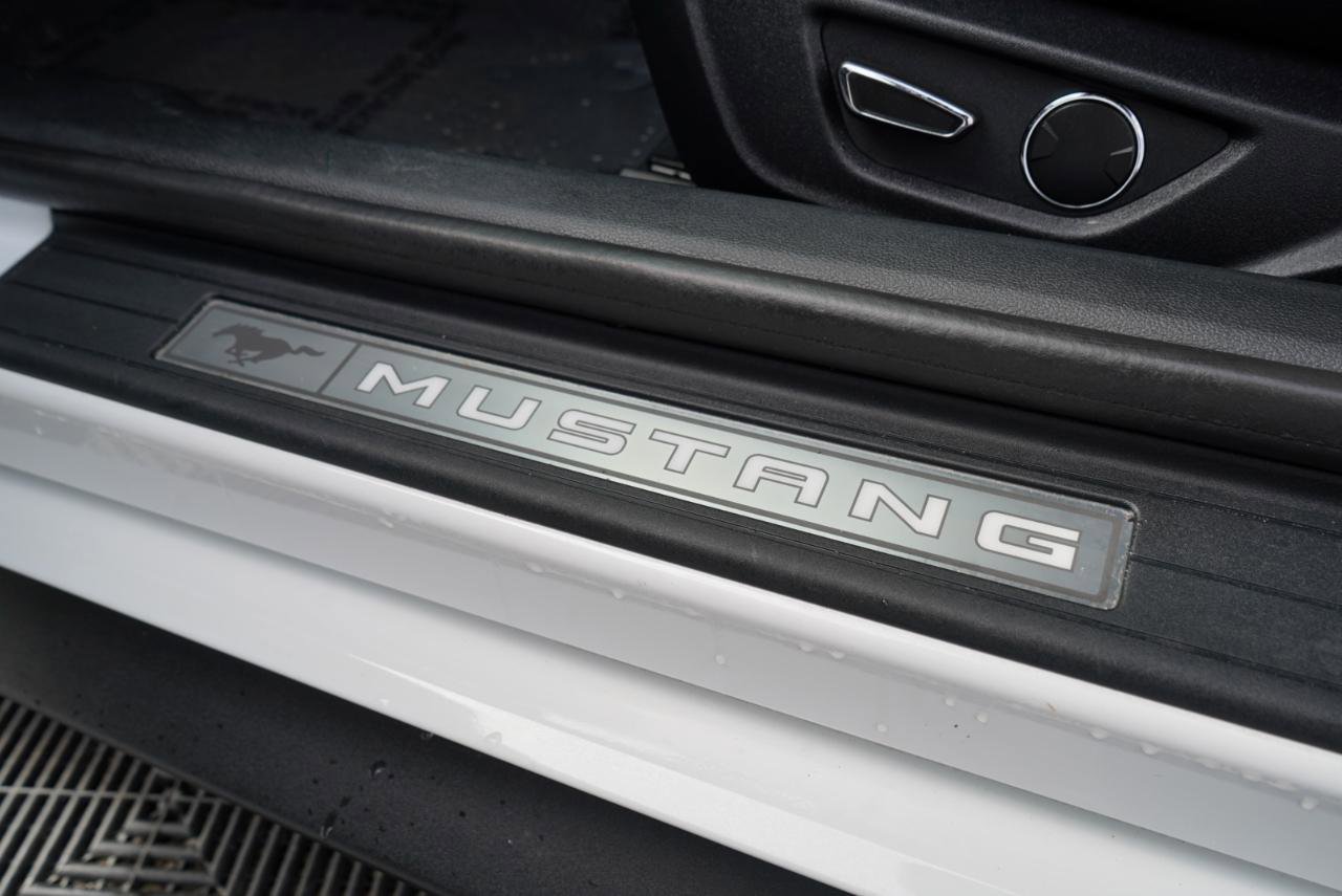 Used 2015 Ford Mustang GT Premium w/ Equipment Group 401A image 19