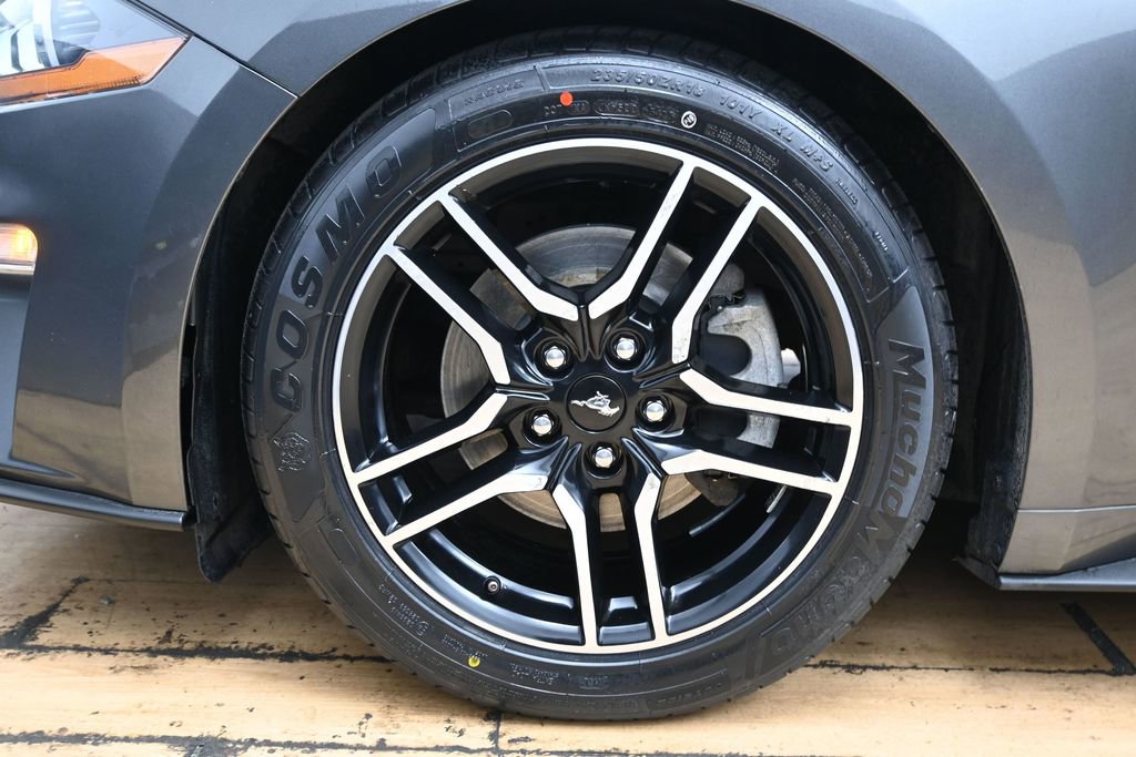 Used 2019 Ford Mustang Premium RWD image 11