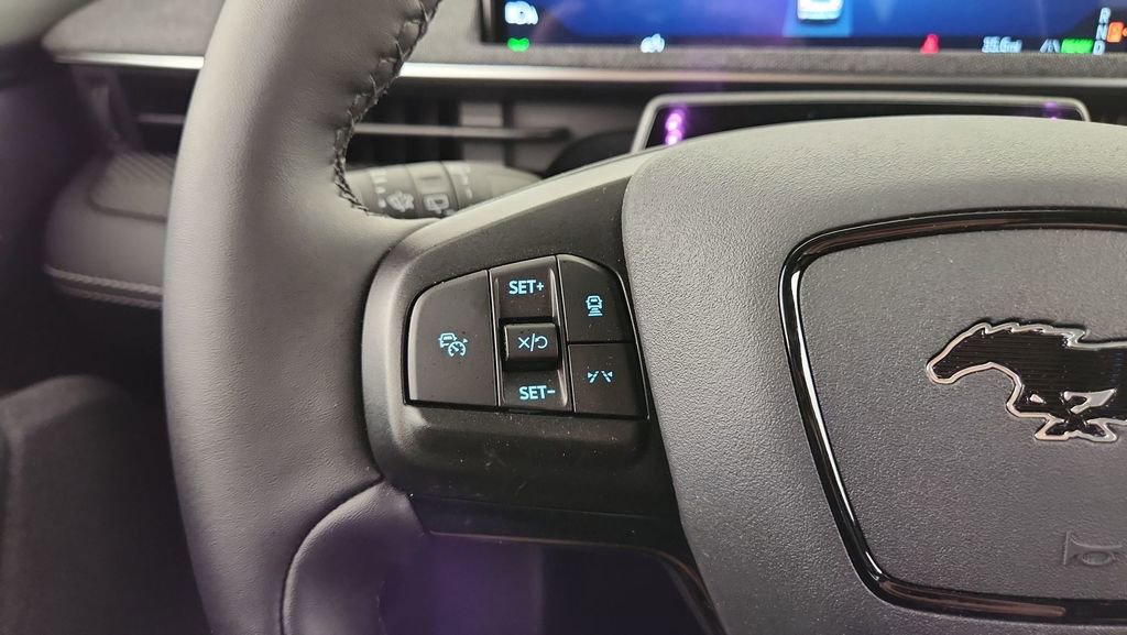 New 2025 Ford Mustang Mach-E Premium w/ Interior Protection Package image 22