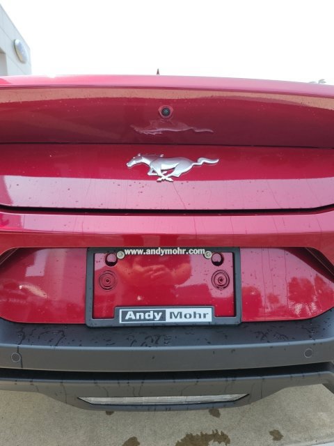 New 2026 Ford Mustang Coupe RWD image 11