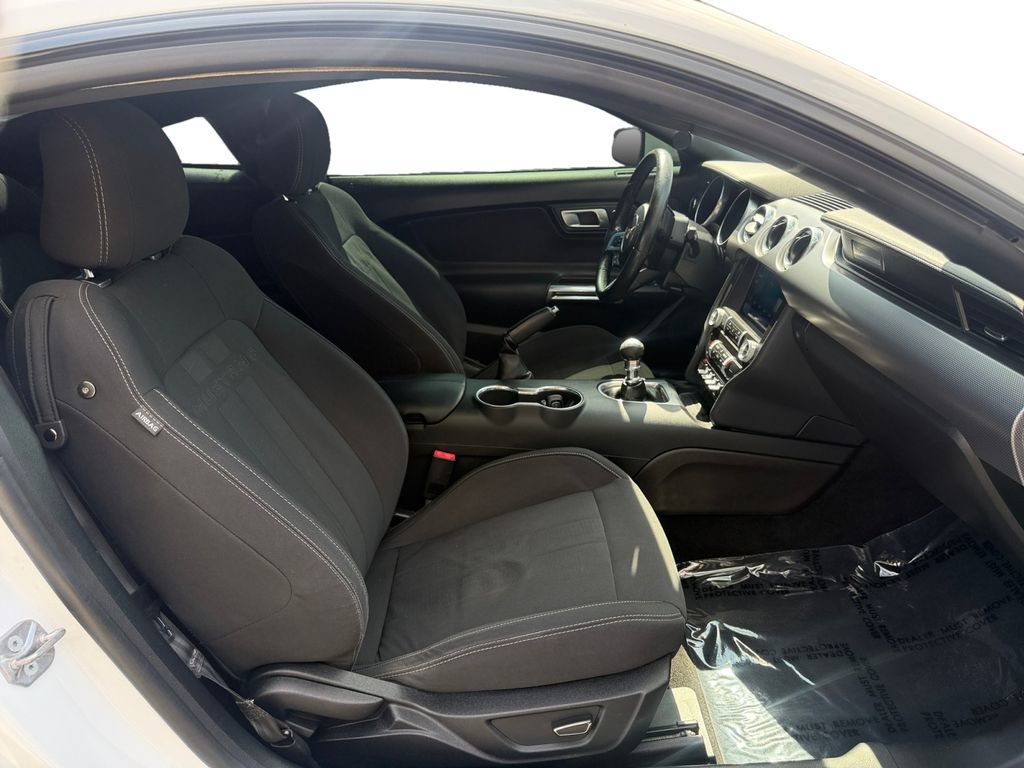 Used 2019 Ford Mustang GT w/ Equipment Group 301A RWD image 15