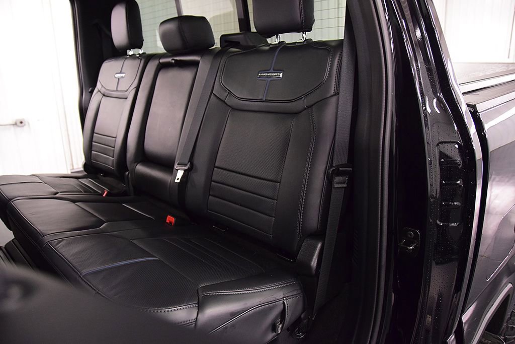 Used 2025 Ford F250 Platinum w/ Tremor Off-Road Package image 33