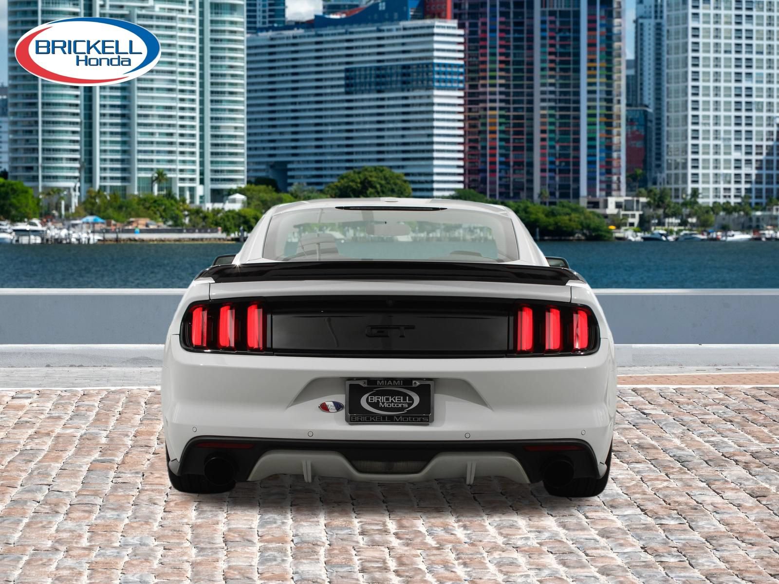 Used 2016 Ford Mustang GT Premium w/ Equipment Group 401A RWD image 3