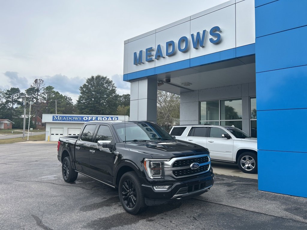 Used 2023 Ford F150 Platinum