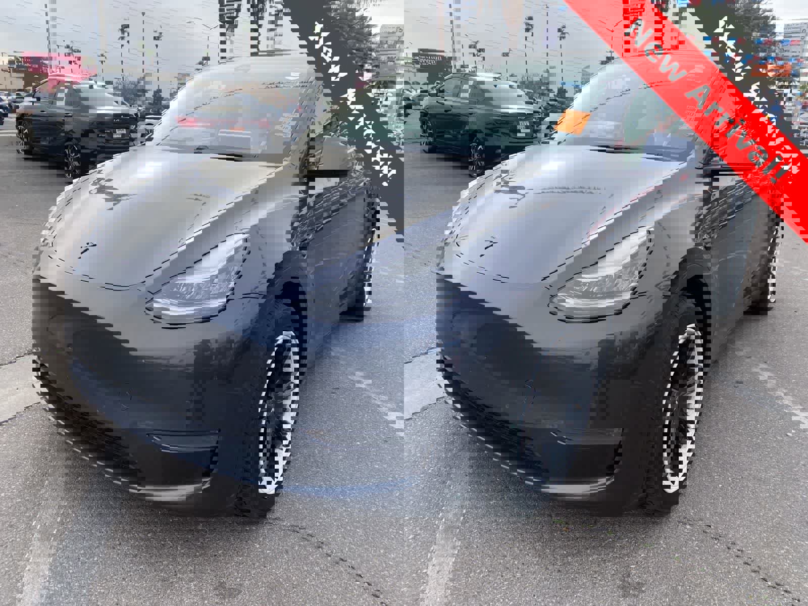 Used 2020 Tesla Model Y Long Range image 1