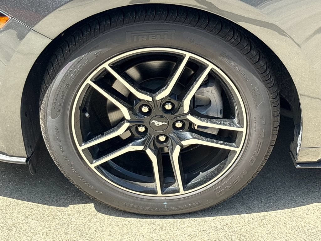 Used 2019 Ford Mustang Premium w/ Equipment Group 201A RWD image 11