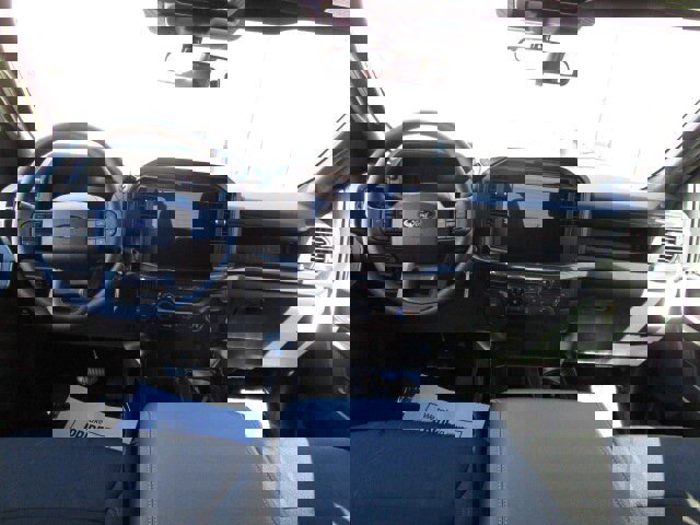 New 2026 Ford F150 STX w/ Equipment Group 200A image 11