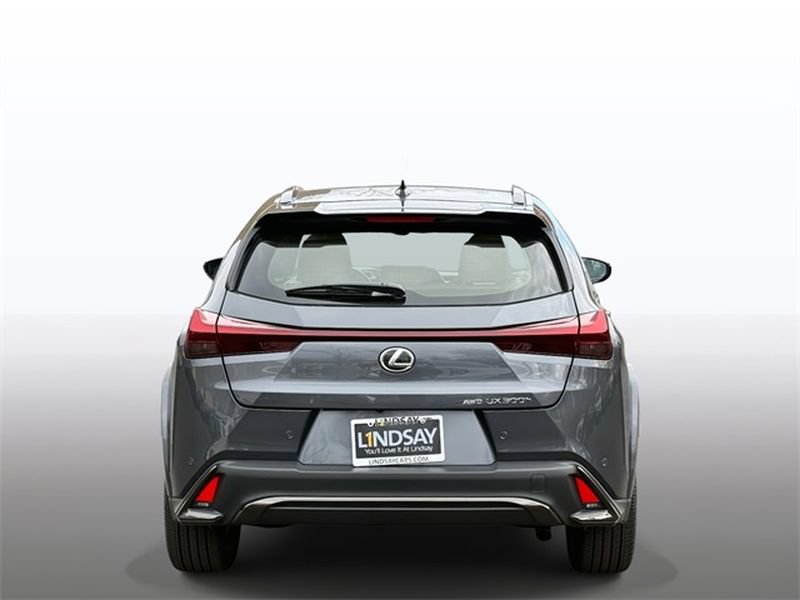 New 2025 Lexus UX 300h AWD image 10