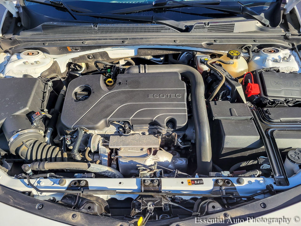 Used 2019 Chevrolet Malibu LS FWD image 30