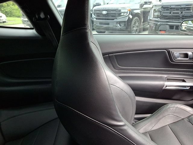 Certified 2019 Ford Mustang Bullitt RWD image 13