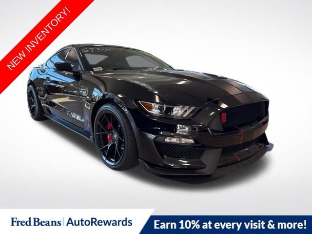 Used 2017 Ford Mustang Shelby GT350R w/ GT350R Equipment Group 920A image 1