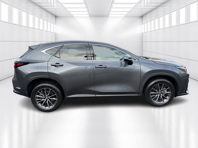Used 2023 Lexus NX 250 AWD image 4
