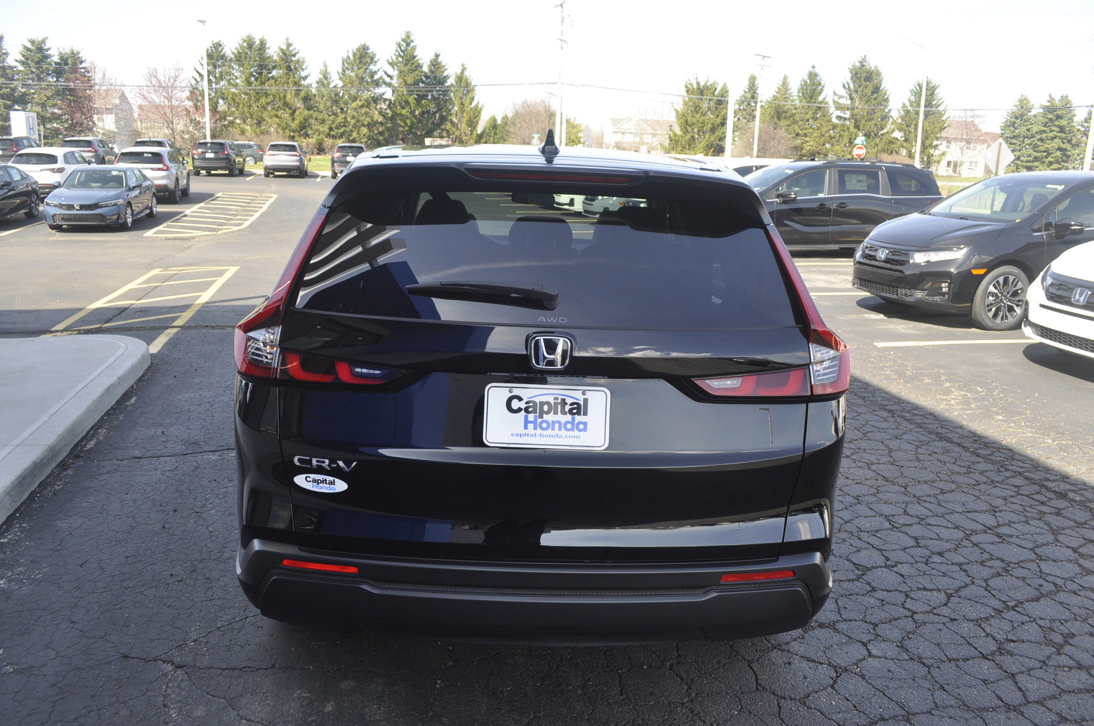 Certified 2024 Honda CR-V EX image 6