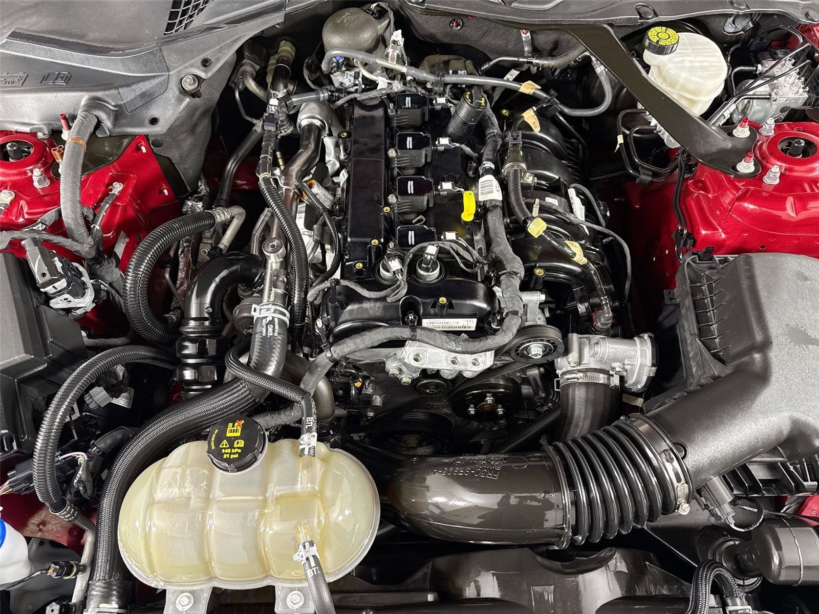 Used 2022 Ford Mustang Premium w/ Equipment Group 201A image 39