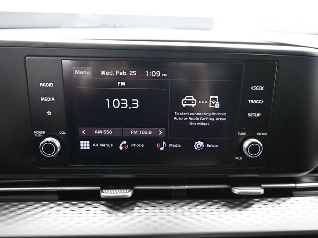 Used 2023 Kia Carnival LX image 13