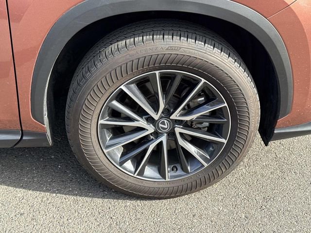 Used 2025 Lexus NX 250 AWD w/ Accessory Package (2T) image 7