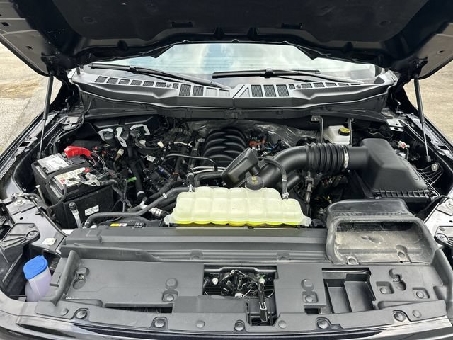 Used 2025 Ford F150 XLT w/ Equipment Group 301A Standard AWD/4WD image 19