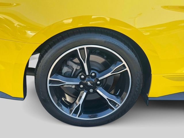 Used 2017 Ford Mustang GT Premium w/ Equipment Group 401A image 9