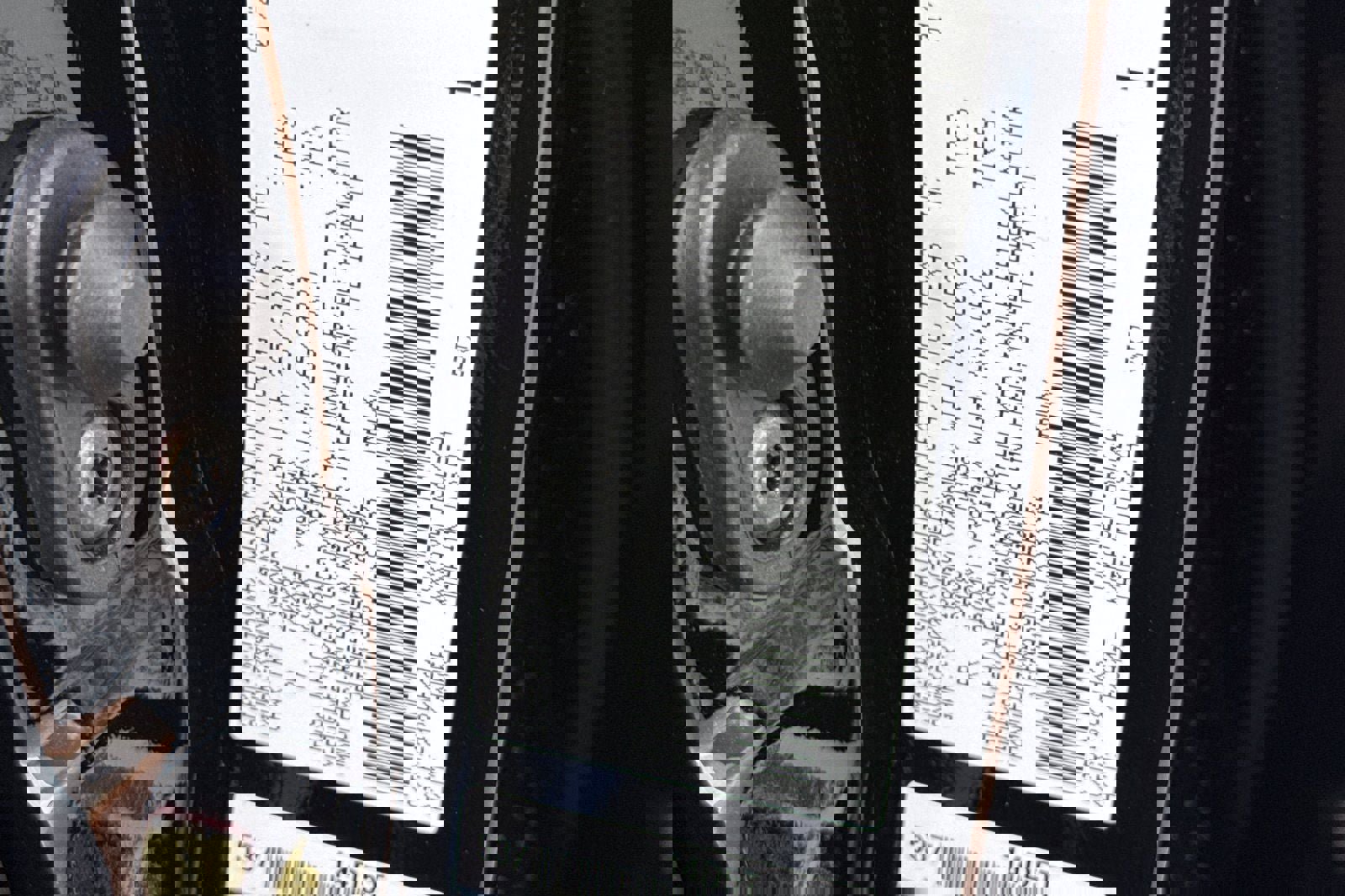 New 2026 Toyota Tundra Platinum image 34