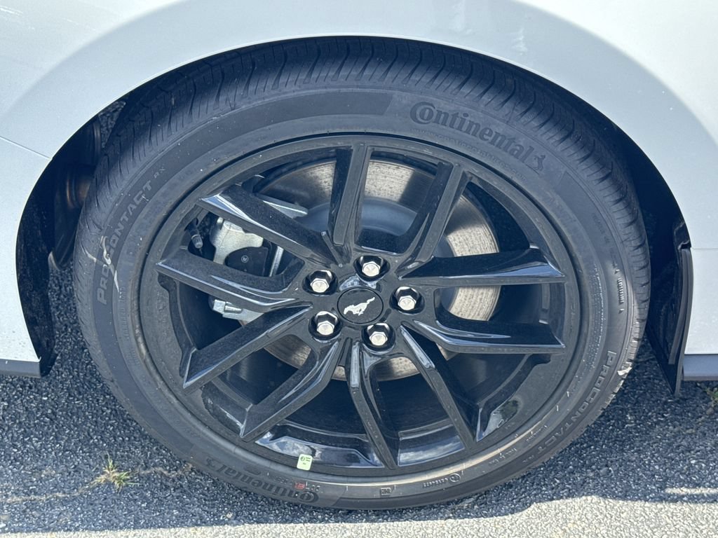 New 2026 Ford Mustang GT w/ Mustang Nite Pony Package RWD image 16