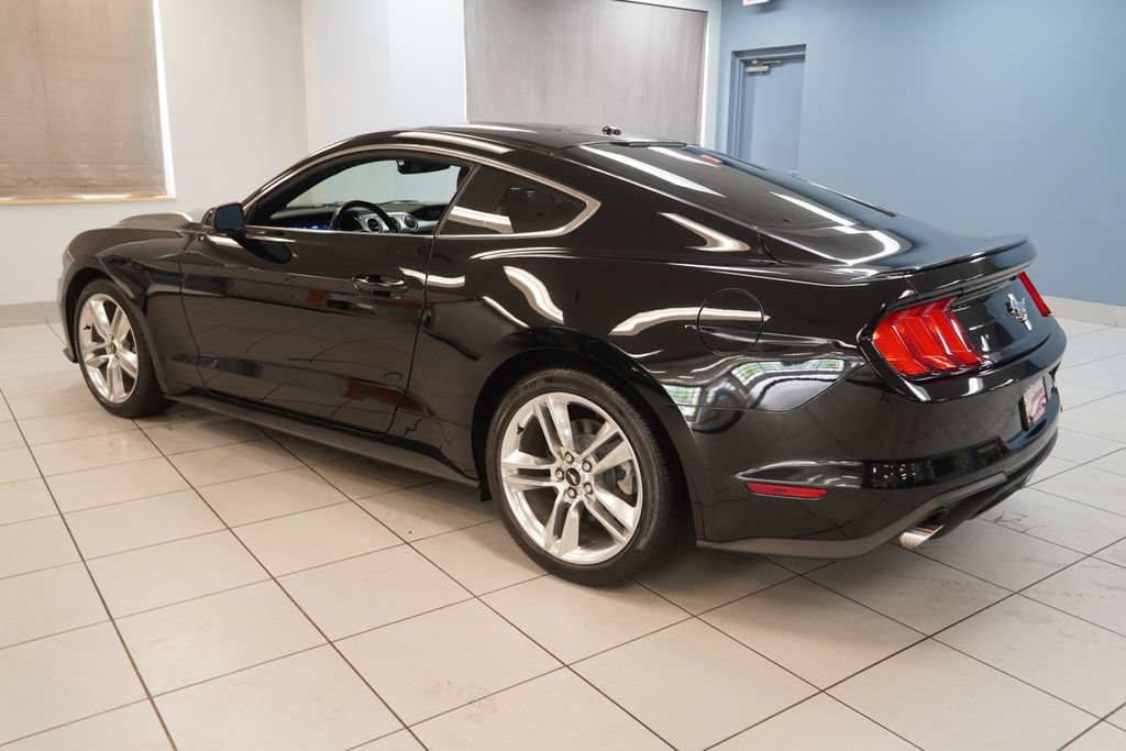 Used 2019 Ford Mustang Premium w/ Equipment Group 201A RWD image 7