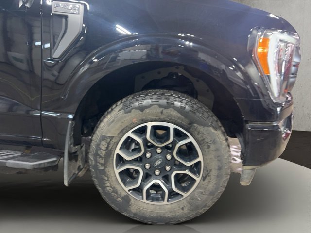 Certified 2023 Ford F150 XLT w/ Equipment Group 302A High AWD/4WD image 24
