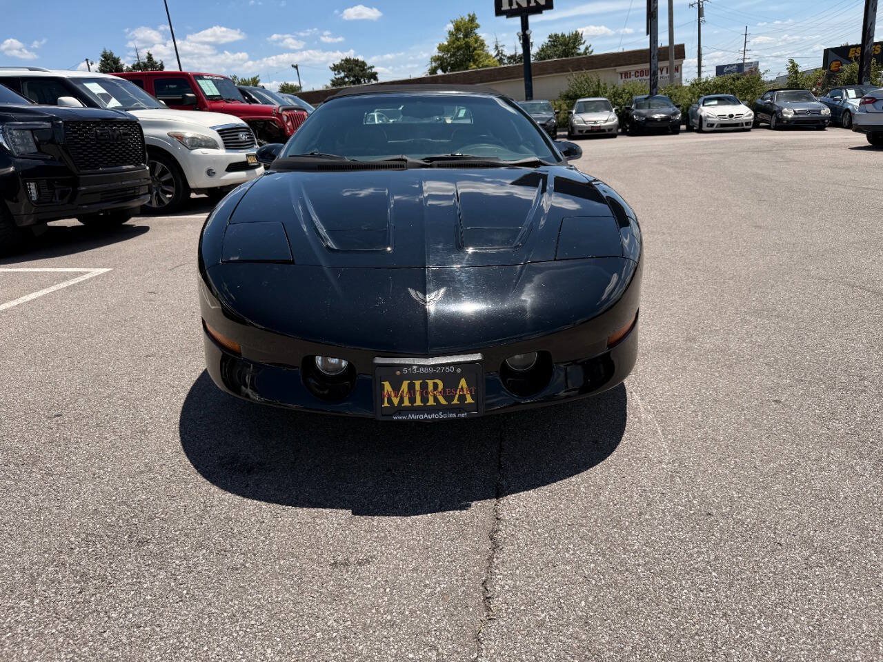Used 1995 Pontiac Firebird Trans Am RWD image 3