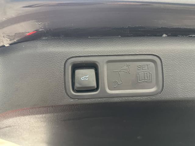 Used 2024 Ford Expedition Max Platinum AWD/4WD image 16