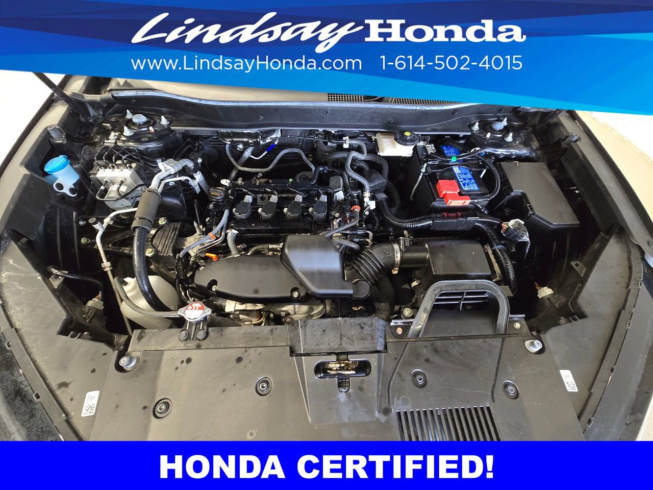 Certified 2023 Honda CR-V EX image 25