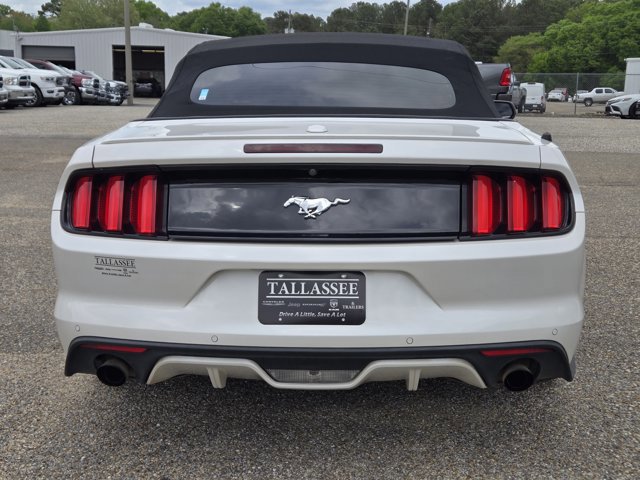 Used 2017 Ford Mustang Premium w/ Equipment Group 201A RWD image 8