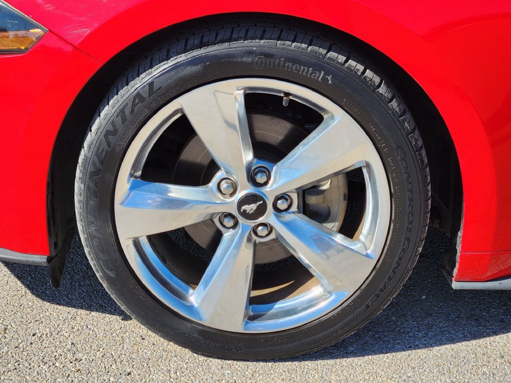 Used 2019 Ford Mustang Premium RWD image 10