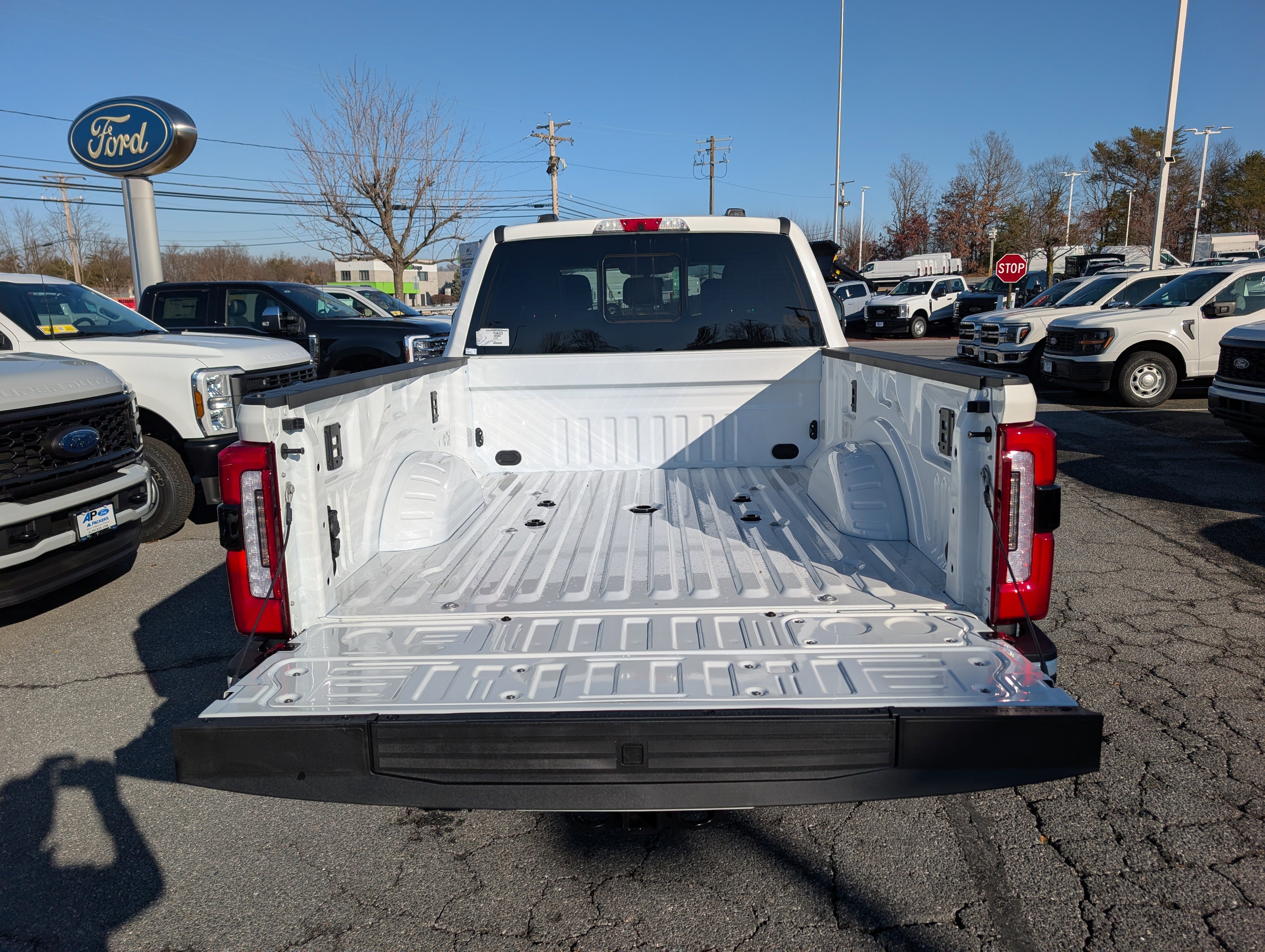 New 2026 Ford F250 Platinum image 10