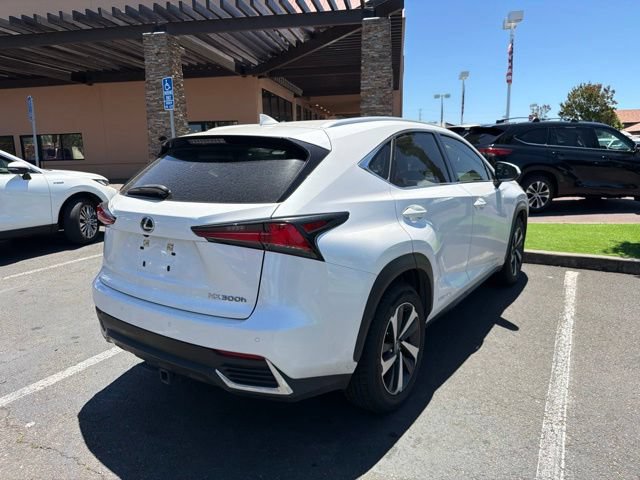 Used 2020 Lexus NX 300h AWD w/ Premium Package image 14