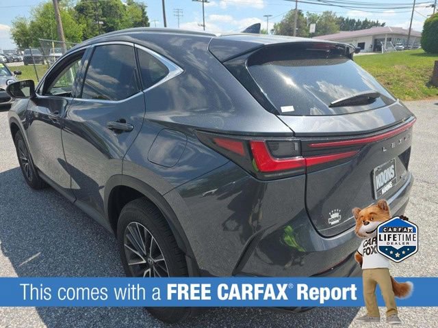 Used 2025 Lexus NX 350 AWD w/ Accessory Package (2T) image 5